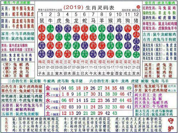 纵谈纪实 第252页