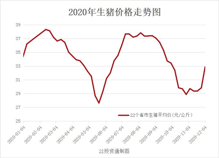 滕州市场生猪价格实时动态一览