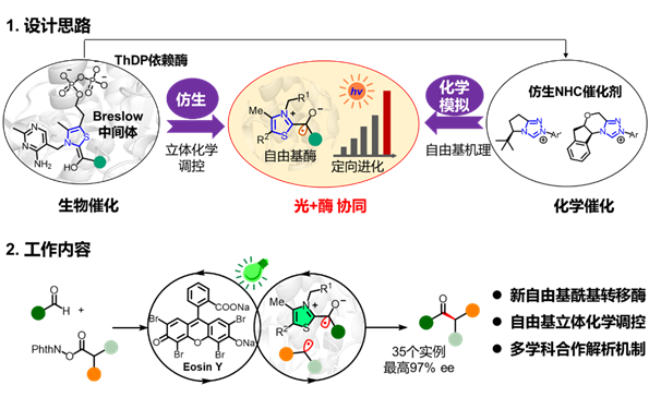 揭秘丙型肝炎治疗领域：探索最新研发特效药物的创新突破